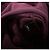Diesel S-Gir-Hood-Division-Logo Sweatshirt Bordeaux Rosa Baumwolle XL - Ansicht 5
