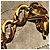 Gucci Autentico Raro Tom Ford Collana e Bracciale Link GG Placcato Oro Gold hardware - vista 4