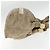 LOUIS VUITTON Borsa a Spalla Monogram Orump Stratus PM Beige M95419 Auth bs18758 - vista 4