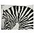 Hermès CHALE HERMES ZEBRA PEGASUS ALICE SHIRLEY SCIALLE IN CASHMERE E SETA Crudo - vista 4