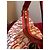 Borsa Carolina Herrera Beige in Tela e Pelle Rossa Rosso - vista 4