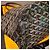 Saint Louis Borsa a mano Goyard St.Louis PM Beige in tela - vista 7