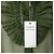 Camisa de seda Philosophy de Alberta Ferretti Verde - vista 5