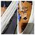 Baskets MCM Visetos Slip on Bunny Rabbit rares marron taille 36 - vue 7