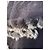 Just Cavalli Poncho Schwarz mit Echtem Fell - Ansicht 4