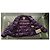 Chaqueta Moncler Grenoble Morado Oscuro - vista 14