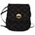 Louis Vuitton Mini Lin Marrom Lona  ref.1823424