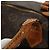 LOUIS VUITTON Borsa a mano Monogram Speedy 30 M41526 LV Auth 98694 Monogramma - vista 9