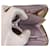 Hermès Hermes Azap Silk'in Compact Wallet White - view 5