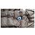 Chaqueta ligera de plumón Jott RICA camel XL Camello - vista 13