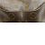 Borsa Tote Looping GM M51145 di Louis Vuitton Monogramma - vista 10