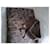 Camicia Prada con Stampa Leopardata in Cotone Stampa leopardo  - vista 7