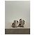 Sandali GIANVITO ROSSI T.EU 37 Pelle Bianco - vista 10