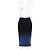 Roland Mouret Gradient Midi Bleistiftrock aus schwarzer und blauer Wolle - Ansicht 6