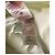 T-shirt bianco Marni con logo in cotone - vista 6