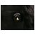 Abrigos PRADA T.IT 42 Cuero Negro - vista 8