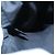 FENDI Schultertasche aus Nylon Hellblau Silber Authentisch bs19694 - Ansicht 11