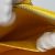 Borsa Epi Alma Louis Vuitton in Citron D'oro - vista 15
