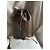 Randonnee Louis Vuitton Leather Monogram Backpack Brown - view 10