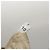 PRADA Borsa a Spalla Nylon Beige Argento Auth 103773 - vista 11