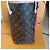 NEVERFULL LOUIS VUITTON X SUN YITIAN X NICOLA GHESQUIERE Marrone - vista 13