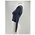 Autre Marque MAISON LABICHE Tops T.Internacional XS Algodón Negro - vista 4