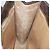 Céline Borsa a mano in tela Macadam CELINE in pelle PVC marrone Auth ar12154
