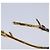 LOUIS VUITTON Orecchino Boucle de Reuil singolo metallo tono oro MP2410 Auth bs19738 - vista 8