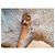 Louis Vuitton Name Tag / Address Camel - view 6