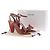 Céline Sandali CELINE T.EU 38.5 Pelle Marrone - vista 9