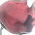 Borsa Tote Petit Palais PM in Monogram Empreinte di Louis Vuitton Nero - vista 12