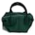Tod's Handtasche aus Pythonleder Grün  - Ansicht 1