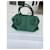 Tod's Handtasche aus Pythonleder Grün  - Ansicht 5
