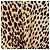 Top de estampado de leopardo Valentino Miss V Multicolor - vista 10