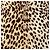 Top de estampado de leopardo Valentino Miss V Multicolor - vista 9