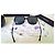 Gafas de sol CHANEL de gran tamaño en excelente estado - con accesorios Negro Gris - vista 11