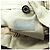Autre Marque Beige Karo-Hosen MACKINTOSH PHILOSOPHY - Ansicht 7