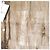 Autre Marque Camicia a maniche corte in cotone JOURNAL STANDARD Beige - vista 5