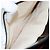 Borsa a spalla in pelle nera SAINT LAURENT Auth yk16514 Nero - vista 22