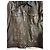 Dolce & Gabbana Lederjacke braun