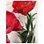 Dolce & Gabbana PANTALÓN CORTO BLANCO CON ESTAMPADO DE AMAPOLAS. Roja - vista 5