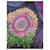 Hermès square stones and crystals Multiple colors Silk  ref.1971406