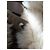 Totême Abrigo de shearling Toteme Blanco - vista 8