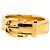 Hermès Gold Plated Buckle Modeschmuck Schalring Golden