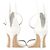 Sophia Webster Chiara Butterfly Sandals in White Leather - view 5