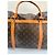 Keepall Borsa per cani Louis Vuitton Marrone - vista 10