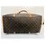 Keepall Borsa per cani Louis Vuitton Marrone - vista 12