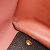 Borsa Amy di Salvatore Ferragamo Marrone Rosa - vista 12