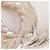 Coco Crush Chanel Perni & Spille Gold hardware - vista 4
