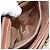 Céline Borsa a mano in tela Macadam CELINE in pelle PVC marrone Auth yk17101 - vista 11